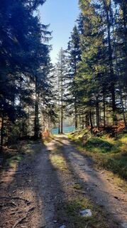 Fotografia z Chr Reichmann na trase