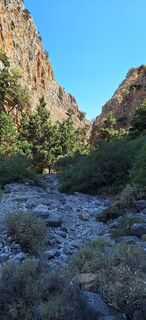 Fotografie z Zsolt Lajter na trase