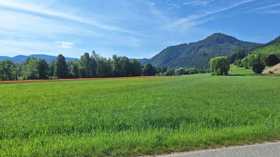Fotografija s spletne strani Manfred Zarnhofer na poti