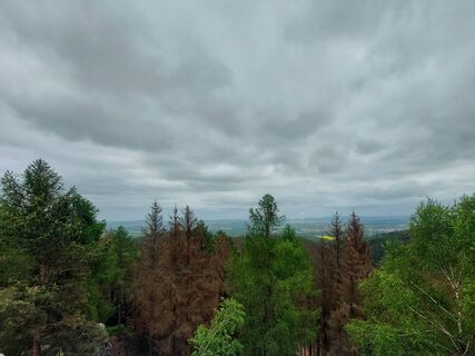 Foto von Jörg Rost entlang der Tour