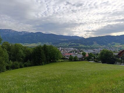 Photo de Meli le long du parcours