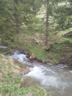 Photo de Delpyalain73 le long du parcours