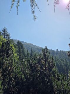 Fotografia z Florian Dürnegger na trase