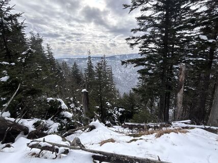 Foto från tomzer under resans gång