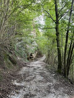 Fotografija s spletne strani Karsten Beer na poti