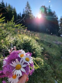 alpenblumenweg-oberseite-blumenstrauss-sonne-c-p-veider.jpg