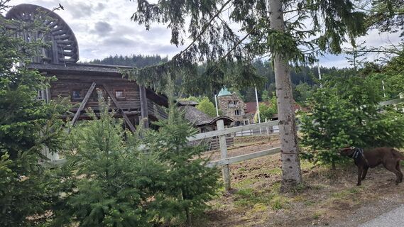 Foto von Esther Hummer entlang der Tour