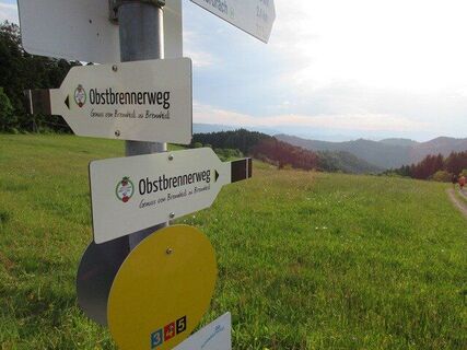 Die Flaschen weißen den Wanderern den Weg