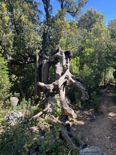 Foto de Josef Kuttendreier a lo largo del recorrido