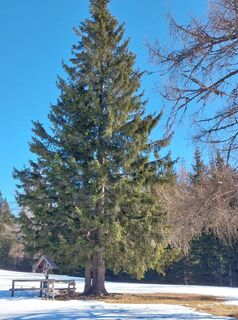 Fotografie z Franz Hasenberger na trase