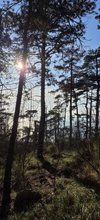 Foto von Tadej Zupančič entlang der Tour