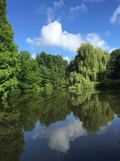 Teich im Stadtwald