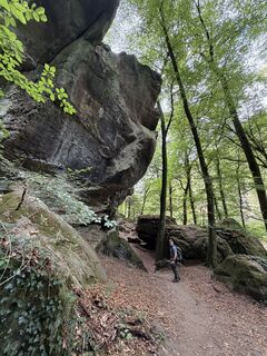 Foto von Nicole Versporten entlang der Tour
