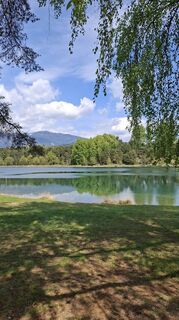 Foto von Mangolein entlang der Tour