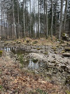 Fotografija s spletne strani Julia Wimmer 4 na poti