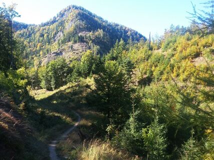 Blick von der Lichtung nach rechts