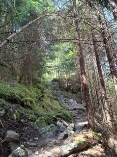 Fotografija s spletne strani Magnus Moser na poti