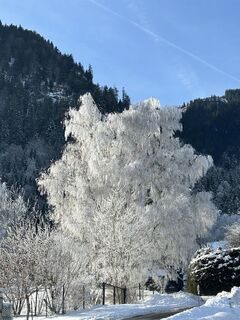 Foto de Johann Pegrin a lo largo del recorrido