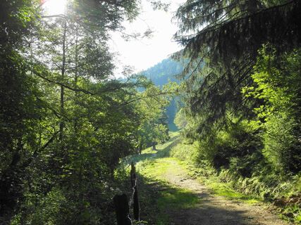 Steig zur Herrenalm von der Wolfsschlut
