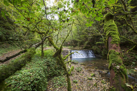 Naturerlebnis Gauchachschlucht
