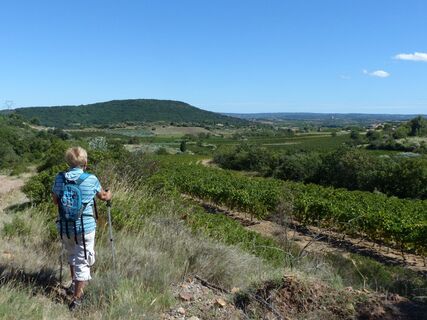 Weinberge und Vulkane de fontes0001 ©CDRP34