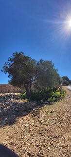 Photo de Jure Kaplan le long du parcours