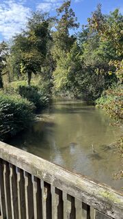 Foto de Mandi_3000 a lo largo del recorrido