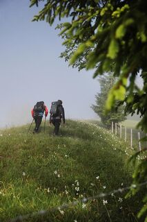 Zemljevid