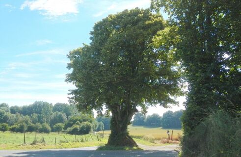 Die Quellen der Authie