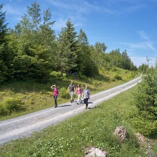 Die AugenBlick-Runde verläuft ein Stück auf dem Westweg