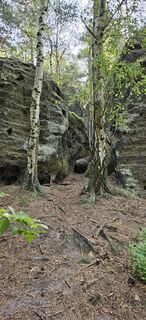 Foto van Andreas Henning langs de tour