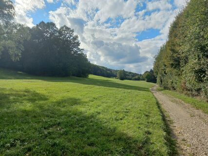 Fotografia z hauwo na trase