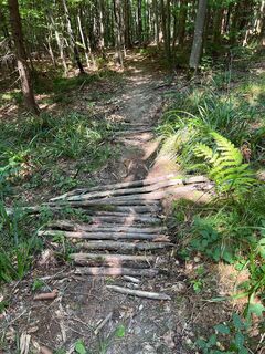 Pyhra Trail
