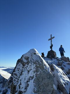 Foto von Gizmo 81 entlang der Tour