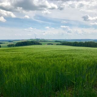 Löwenpfad Messelberg-Tour