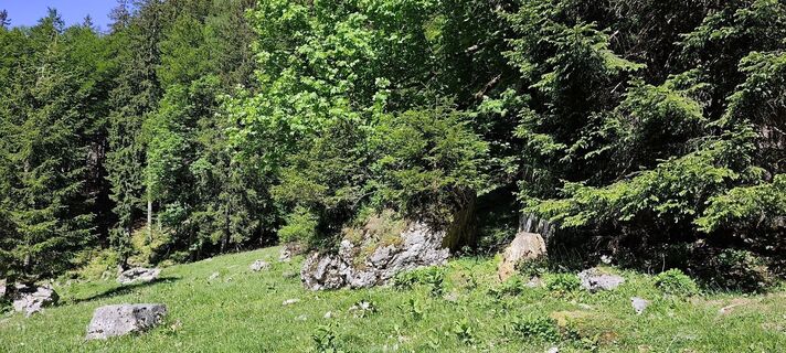 Photo de Iryna le long du parcours