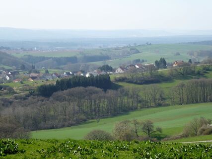 Aussicht auf Börsborn