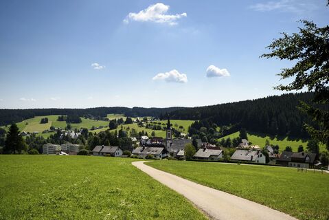 Blick auf Schönwald