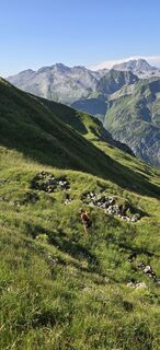 Foto von Bernhard Jenny entlang der Tour