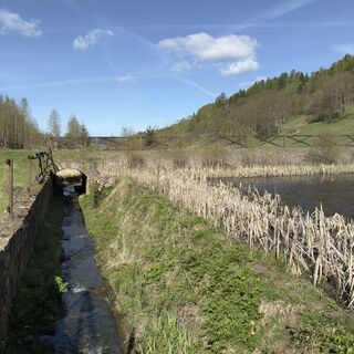 Photo de Steffen Kiesel le long du parcours