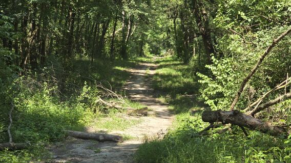 Fotografia z Hieu Duc Tram na trase