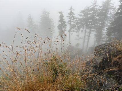 Fotografie z Natur_erleben_dg na trase