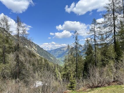 Foto von Kerstin Albrecht entlang der Tour