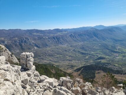 Foto von Grizli entlang der Tour