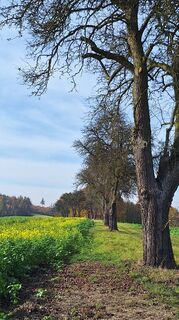 Foto von HeleneEcker entlang der Tour