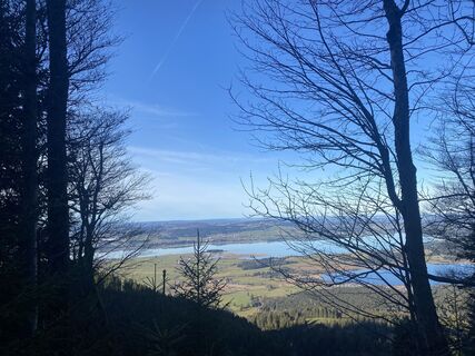 Fotografija s spletne strani Elke Hafner na poti