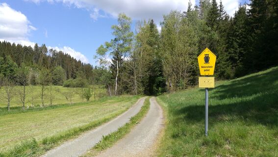 Im Tal der Wettera zwischen Raila und Schauerschacht