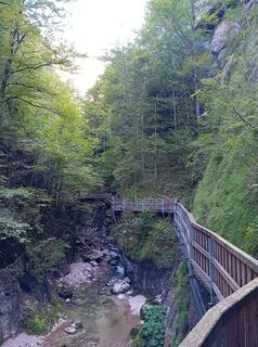 Foto von Wanderkatze entlang der Tour