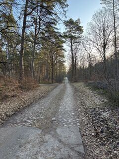 Photo de Kai Erdmann le long du parcours