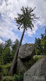 Photo de damilaja242 le long du parcours
